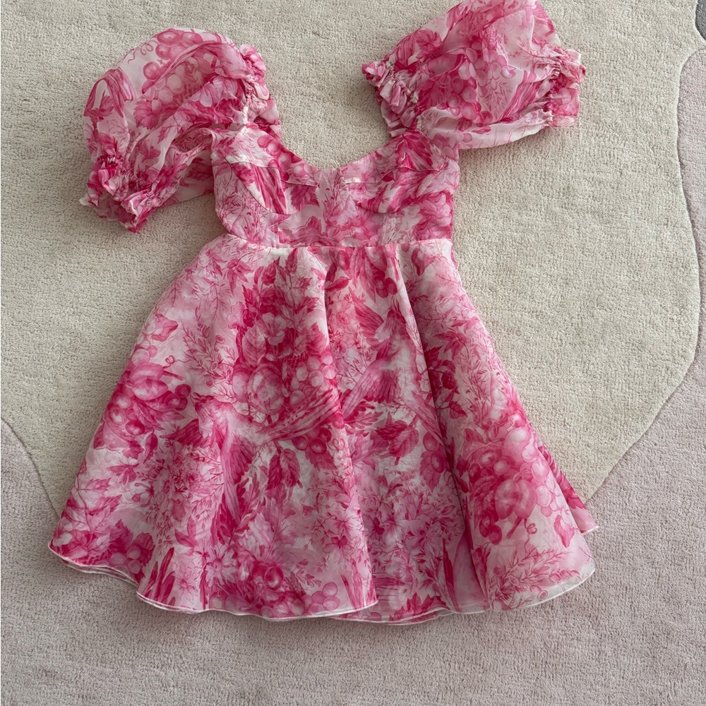 NWT selkie parliament dress in pink size 4 / XS